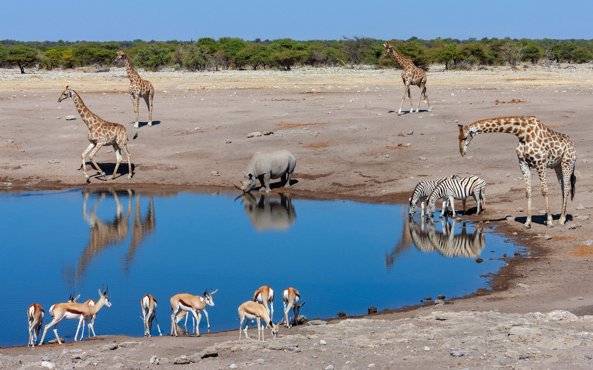 etosha