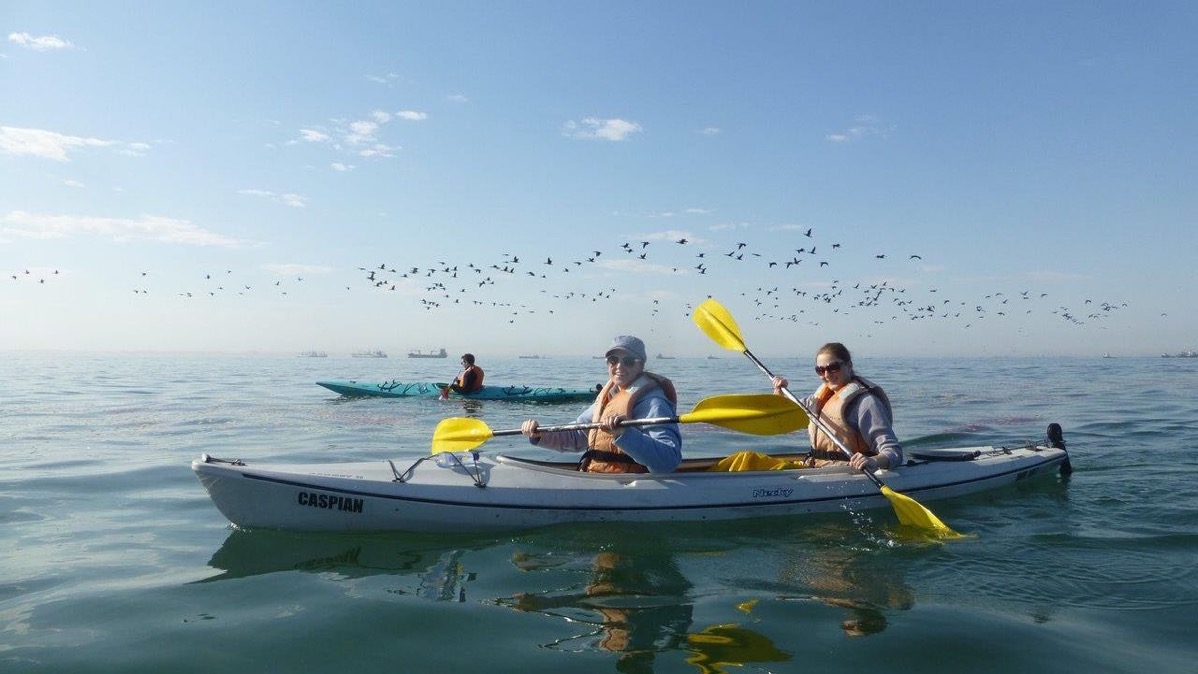 kayak walvis bay