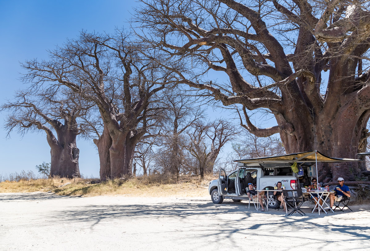 botswana_selfdrive